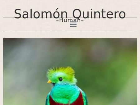 Quintero Family Law Services