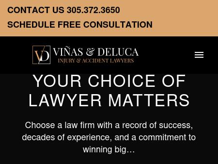 Vinas & DeLuca PLLC