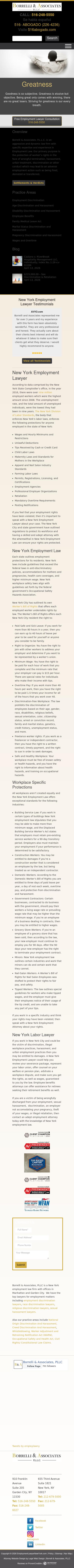 Borrelli & Associates, P.L.L.C. - Great Neck NY Lawyers