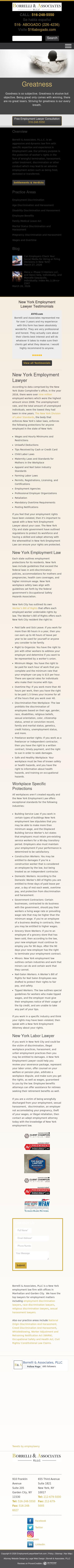 Borrelli & Associates, P.L.L.C. - New York NY Lawyers