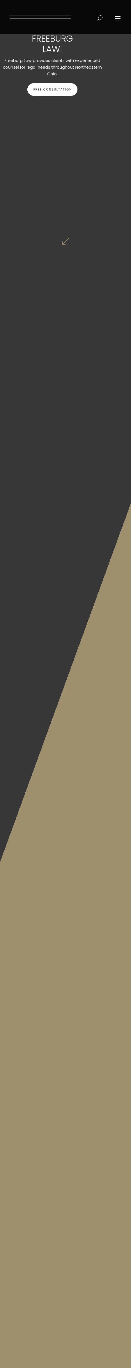 Freeburg Law Firm, LPA - Mayfield Village OH Lawyers