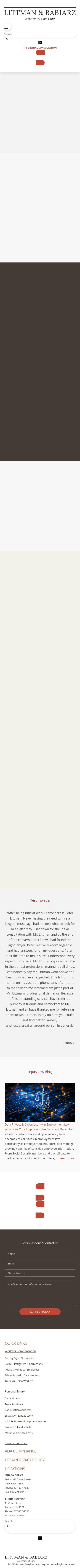 Littman & Babiarz, Attorneys at Law - Ithaca NY Lawyers