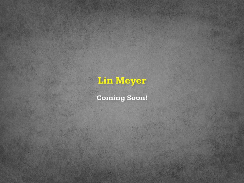 Lin M. Meyer - Attorney at Law - Tarzana CA Lawyers