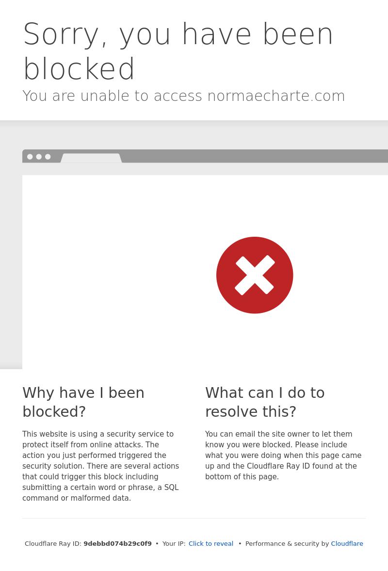 Norma Echarte & Associates, Attorneys at Law - Miami FL Lawyers