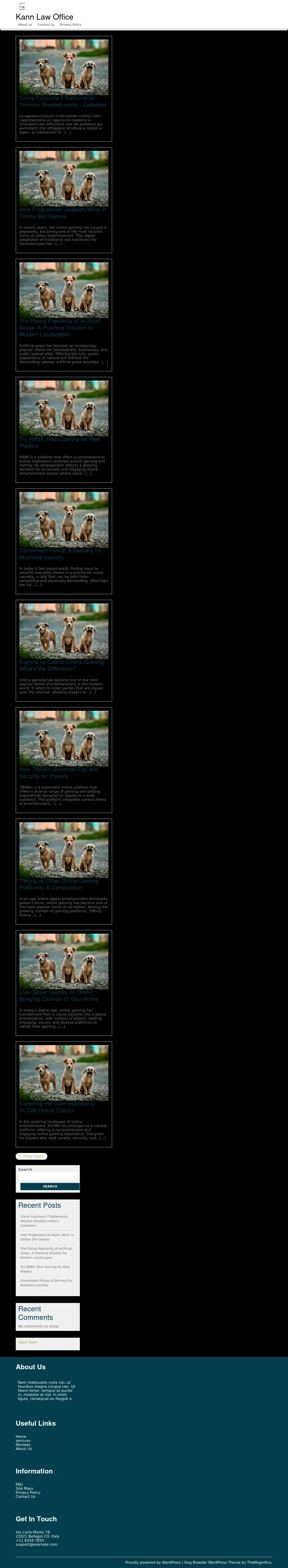 Terence J. Kann, P.A. - Gainesville FL Lawyers